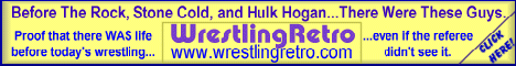 Wrestling Retro Banner